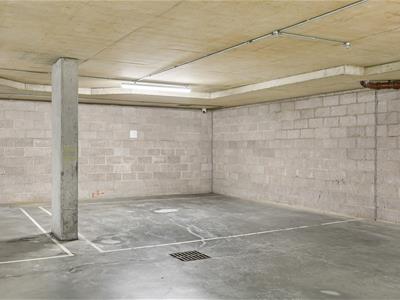 Picture 31